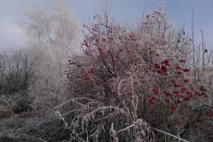 signal-2022-12-17-151025