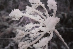 signal-2022-12-18-125609_002