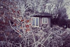 signal-2022-12-18-125609_003