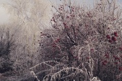 signal-2022-12-18-125609_004